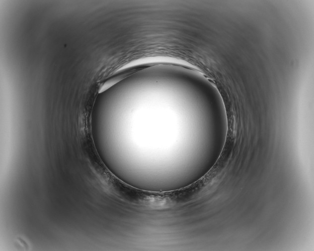 X0000086880272200704300943