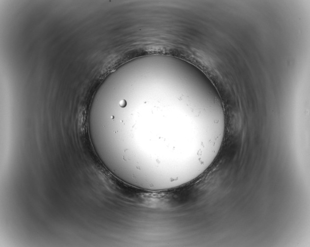 X0000086880273200704300943