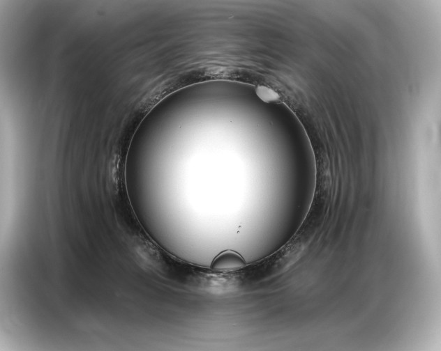 X0000086880275200704300943