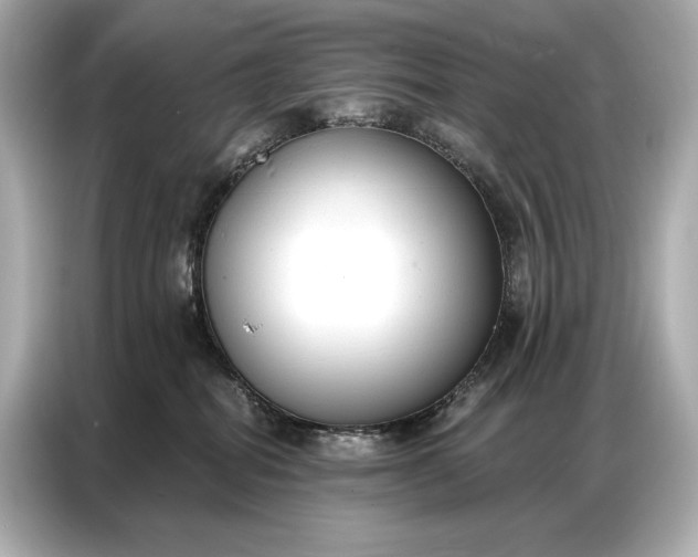 X0000086880282200704300943