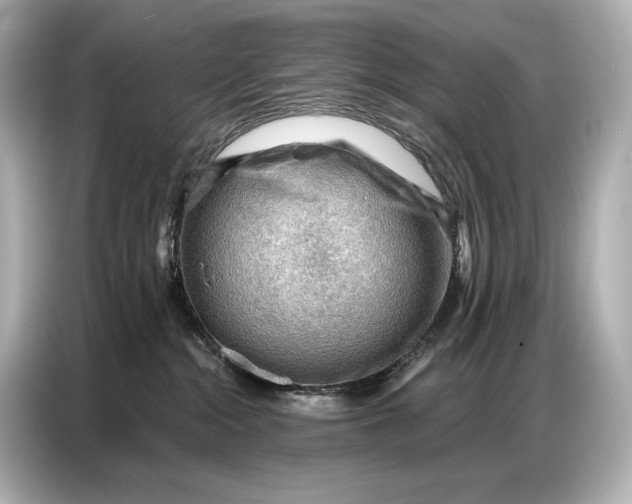 X0000086880284200704300943