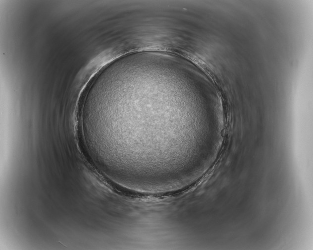 X0000086880290200704300942