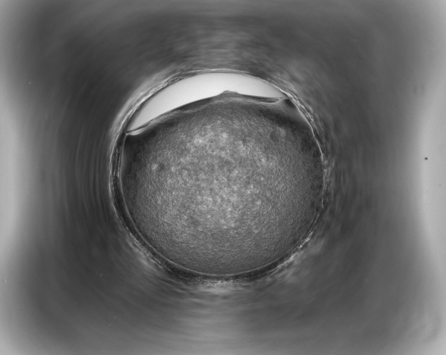 X0000086880293200704300942