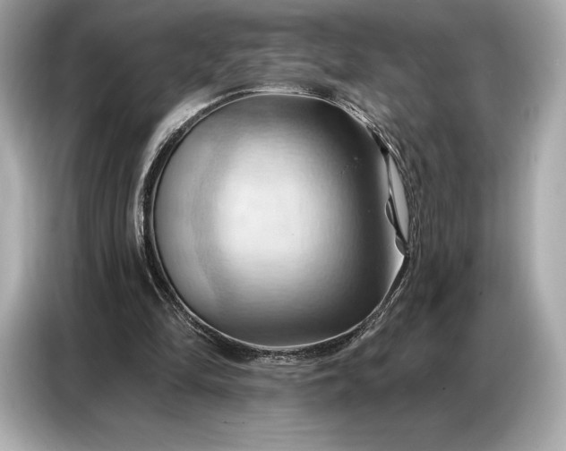 X0000086880294200704300942