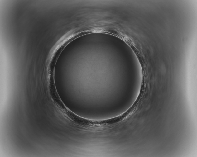 X0000086880295200704300942