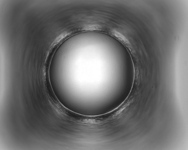 X0000086880298200704300942