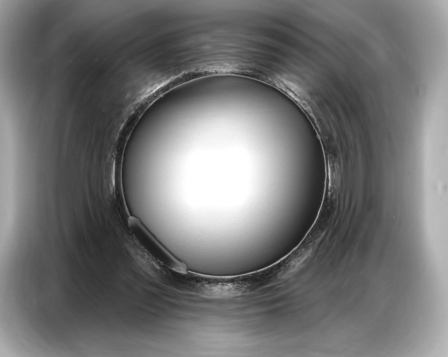 X0000086880301200704300942