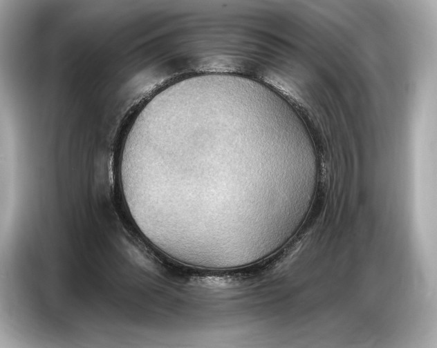 X0000086880302200704300942