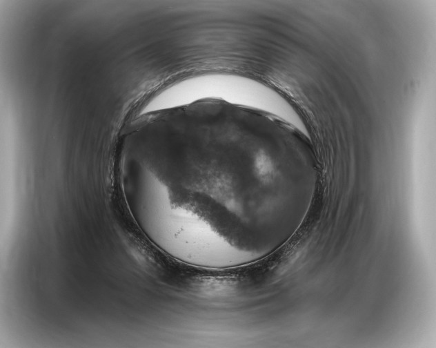 X0000086880303200704300942