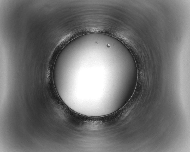 X0000086880304200704300942