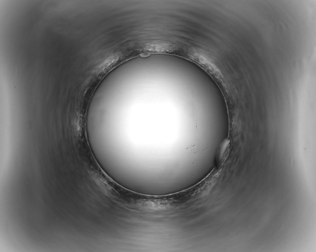 X0000086880305200704300942