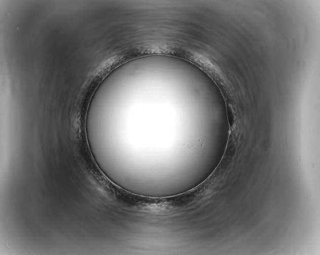 X0000086880306200704300942