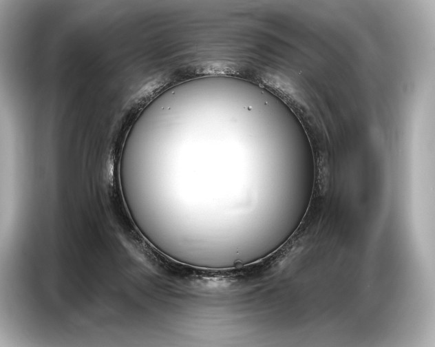 X0000086880310200704300942