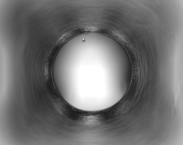 X0000086880312200704300942