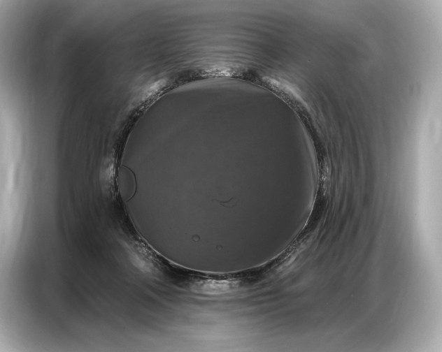 X0000086880314200704300942