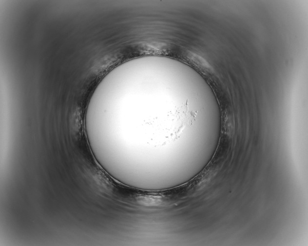 X0000086880318200704300942