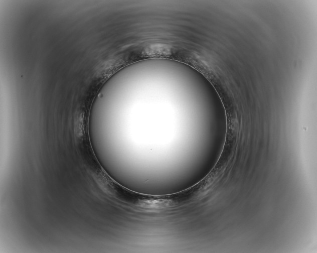 X0000086880323200704300942