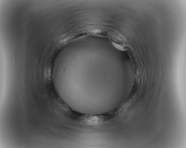 X0000086880330200704300942