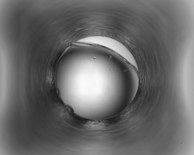 X0000086880331200704300942