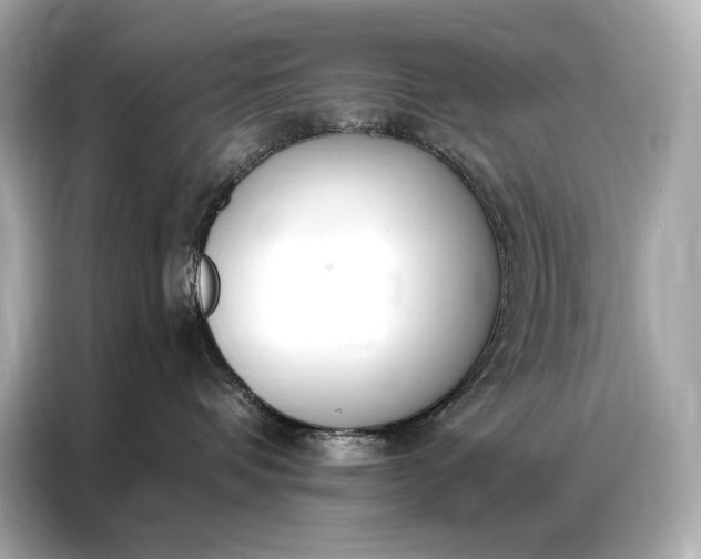 X0000086880336200704300942