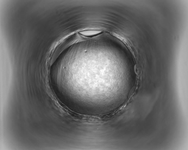 X0000086880337200704300941