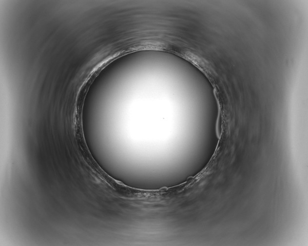 X0000086880338200704300941