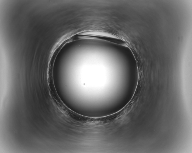 X0000086880340200704300941