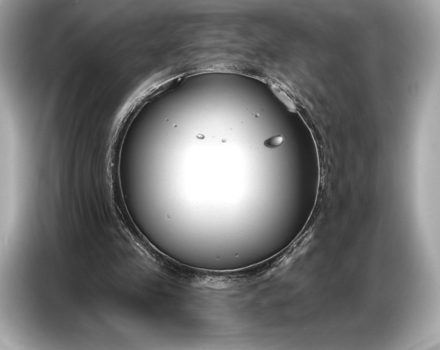 X0000086880341200704300941