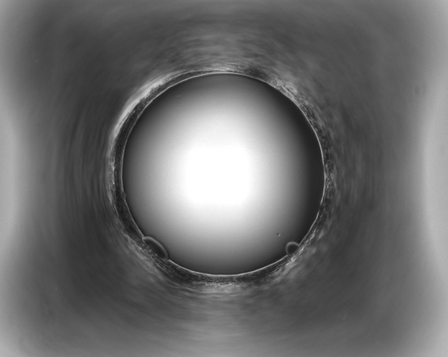 X0000086880342200704300941