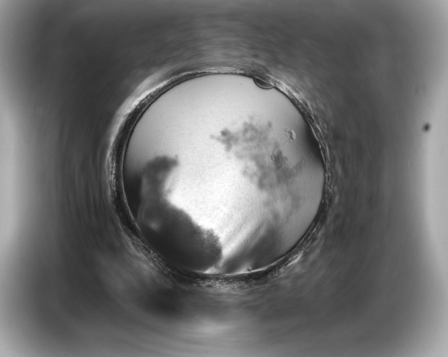 X0000086880343200704300941