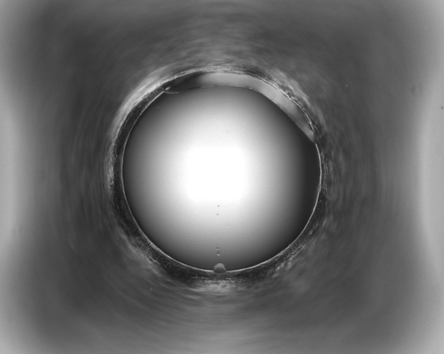 X0000086880344200704300941