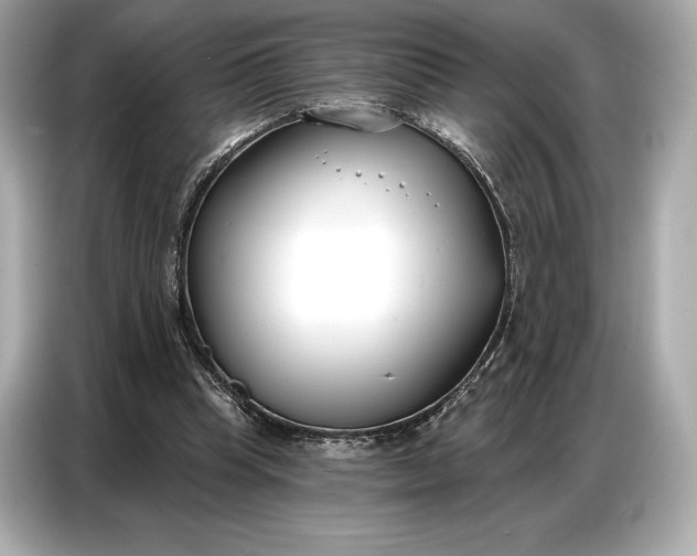 X0000086880345200704300941