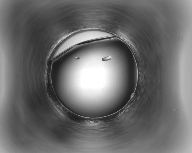 X0000086880346200704300941