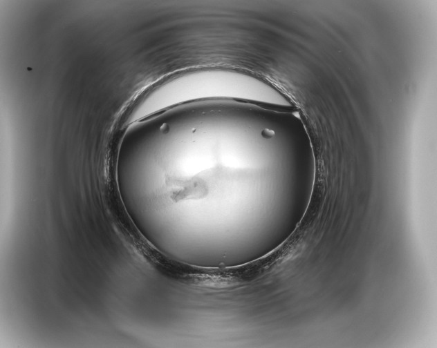 X0000086880347200704300941