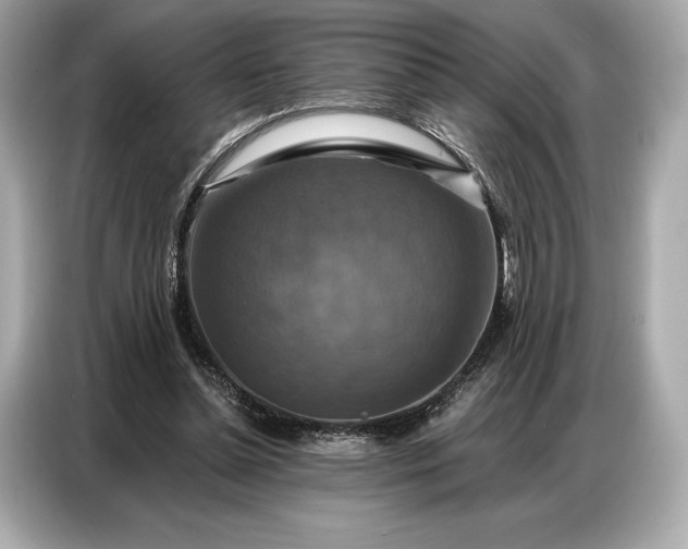 X0000086880348200704300941