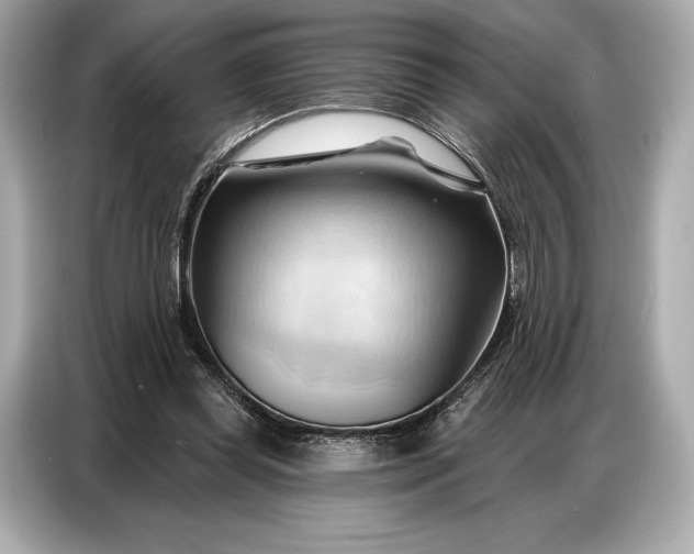 X0000086880349200704300941