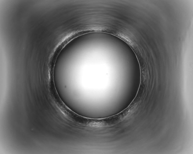 X0000086880350200704300941