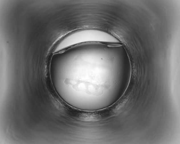 X0000086880351200704300941