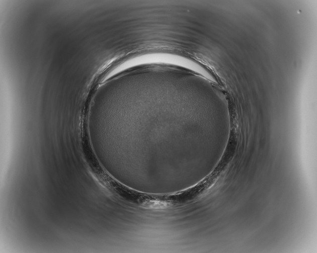 X0000086880352200704300941