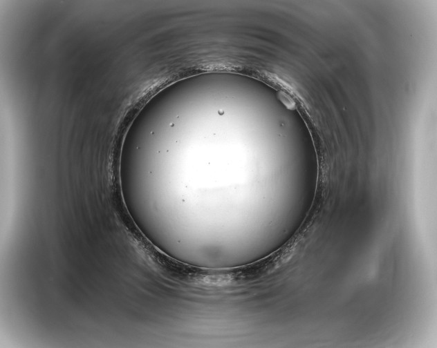 X0000086880353200704300941