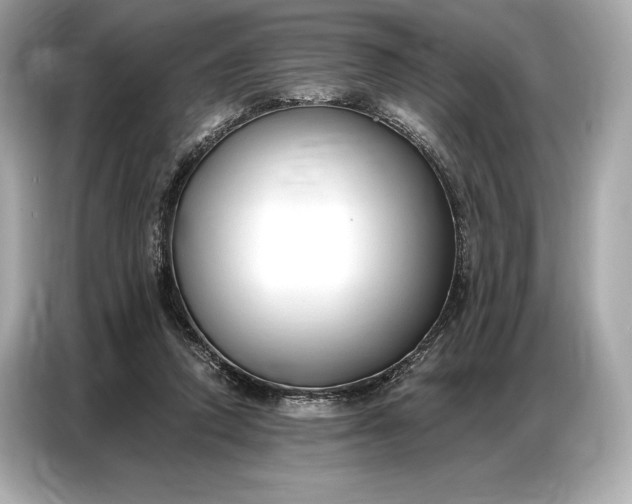 X0000086880354200704300941