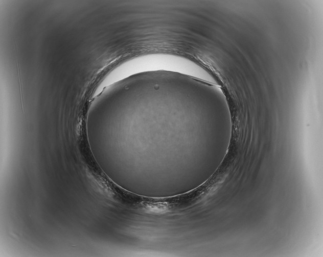 X0000086880355200704300941