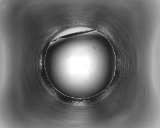 X0000086880358200704300941