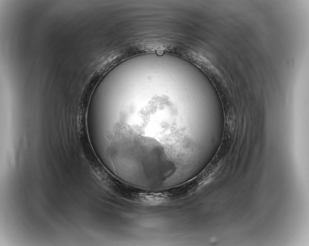 X0000086880359200704300941