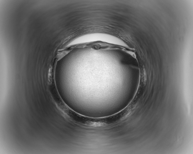 X0000086880360200704300941