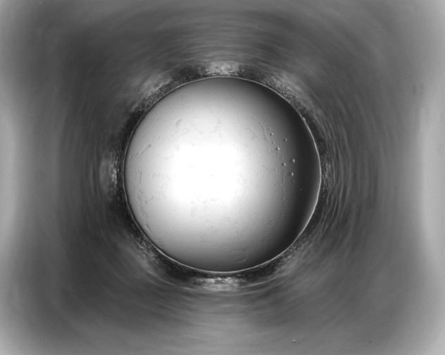 X0000086880363200704300941