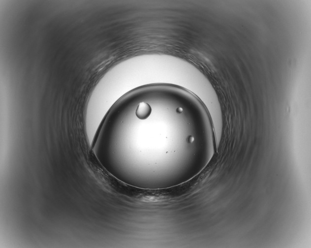 X0000086880364200704300941