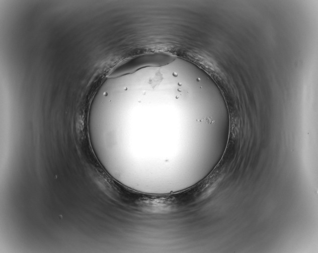 X0000086880365200704300941