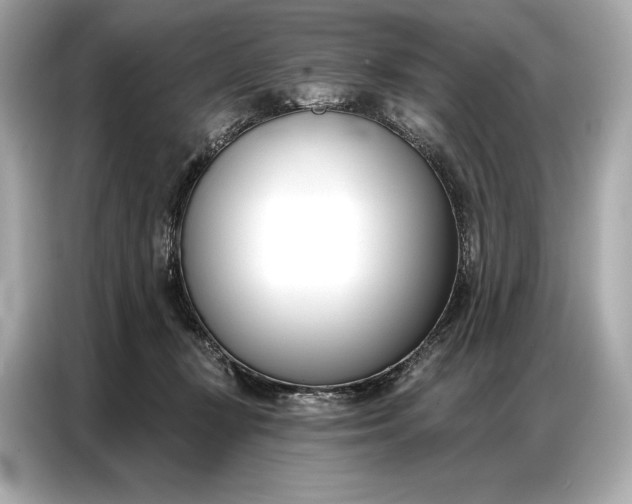 X0000086880367200704300941