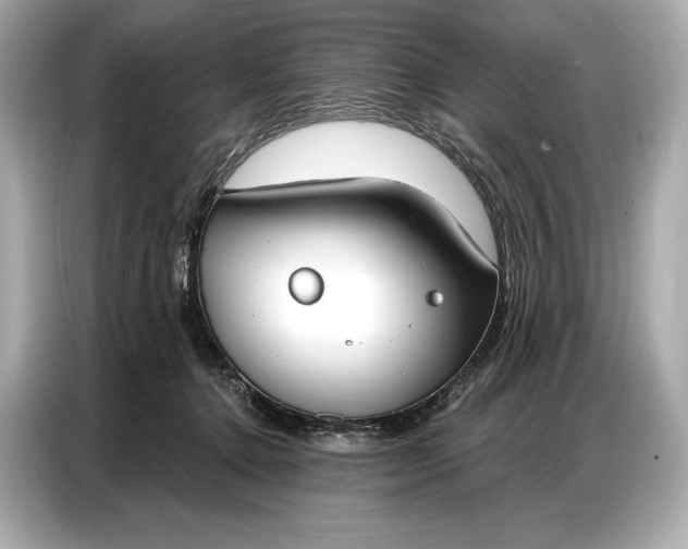 X0000086880368200704300941